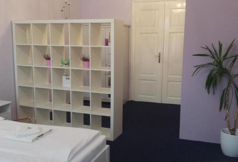 غرفة قياسية, Penzion U Lucerny