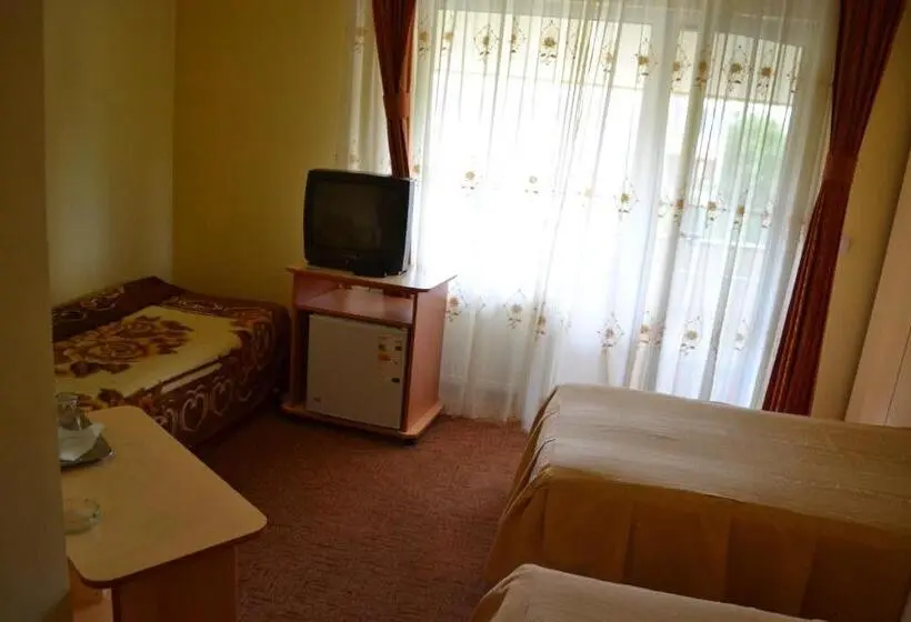 Standard Kolmen Hengen Huone, Pension Coral