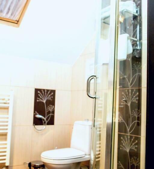 Номер Стандарт, Pension Daciana
