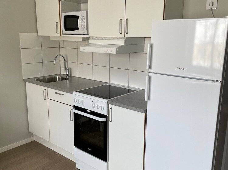 آپارتمان 1 خوابه, Vandrarhemmet Birkagatan 8