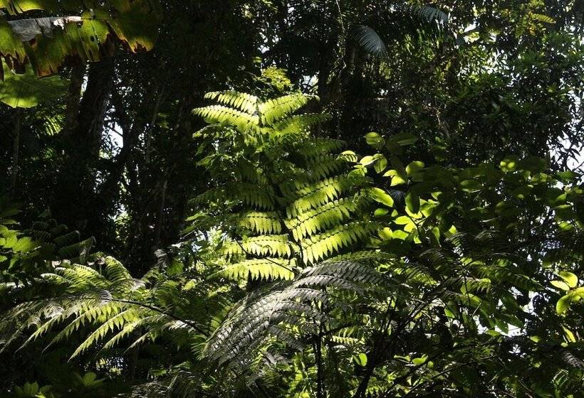 스탠다드 전망 룸, Pousada Sitio Araribá