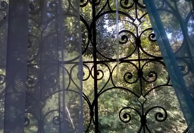 스탠다드 전망 룸, Pousada Sitio Araribá