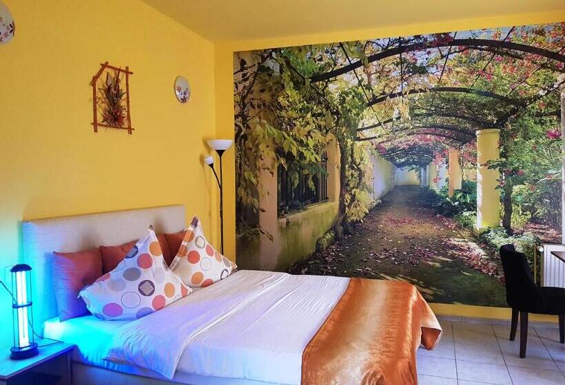 スタンダードルーム, Pensiunea Paloma 3 Stele Brasov