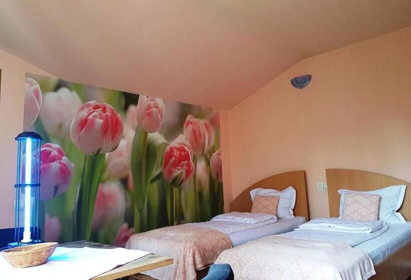 スタンダードルーム, Pensiunea Paloma 3 Stele Brasov