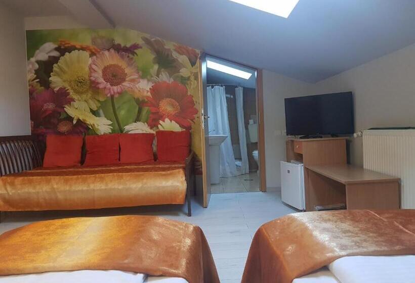 スタンダードトリプルルーム, Pensiunea Paloma 3 Stele Brasov