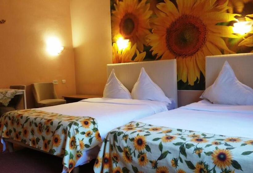 ファミリールーム, Pensiunea Paloma 3 Stele Brasov