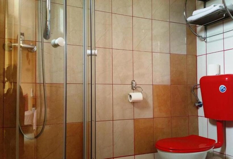 スタンダードルーム, Pensiunea Paloma 3 Stele Brasov