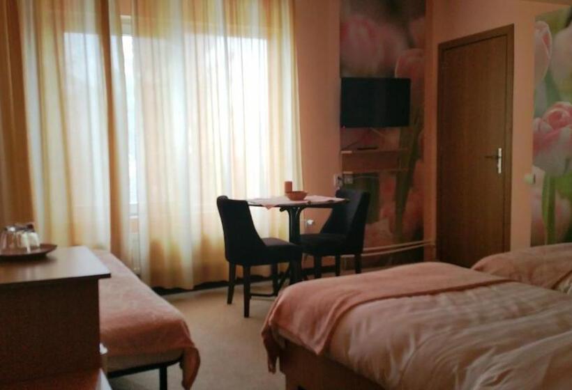 スタンダードルーム, Pensiunea Paloma 3 Stele Brasov