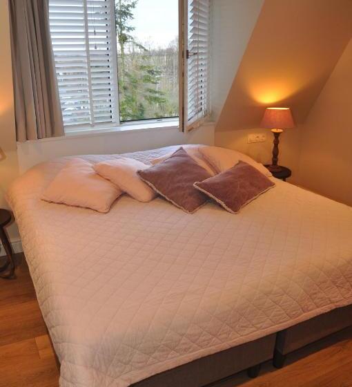 חדר סטנדרט, Sanders De Paauw