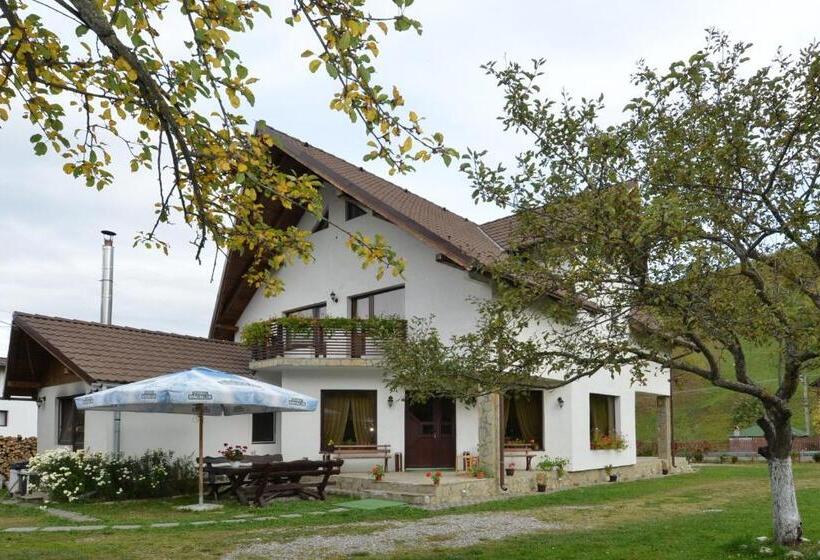 Дом 1 Спальня, Bucuria Muntelui