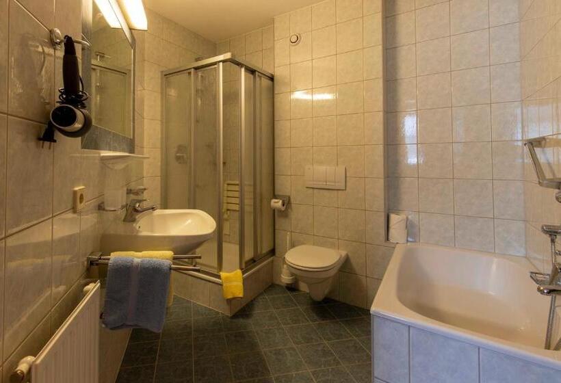 شقة غرفة واحدة, Gidis Hof