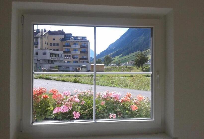 غرفة قياسية فردية, Gidis Hof