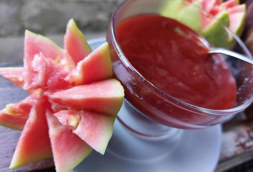 带阳台标准四人间, Pousada Recanto Da Montanha