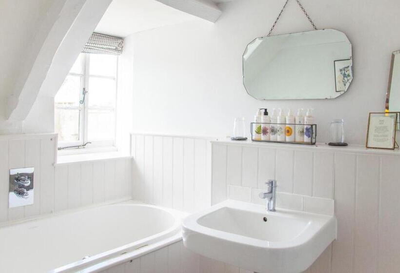 חדר בסיסי, The Swan