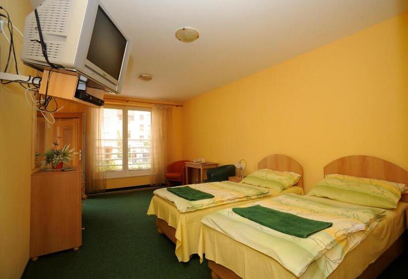 غرفة قياسية, City