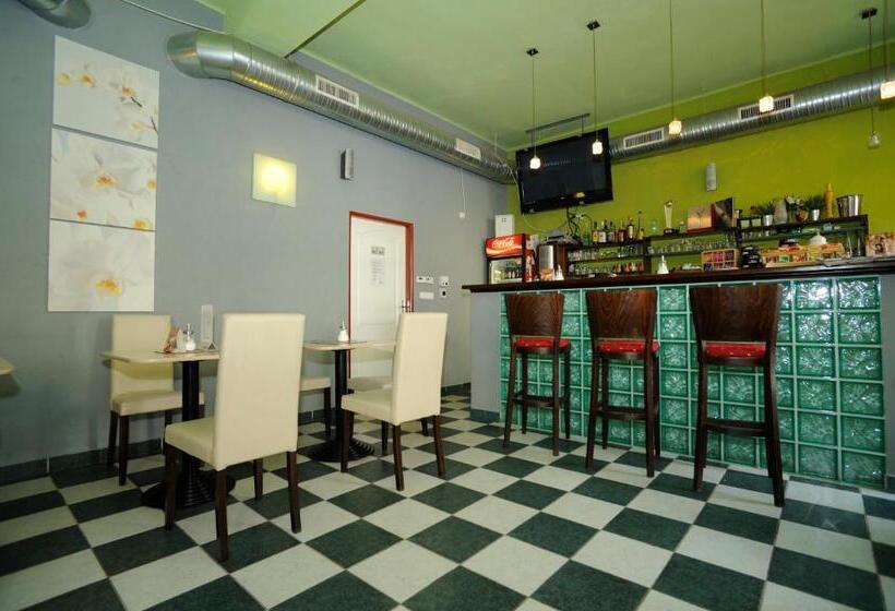 شقة غرفتين, City