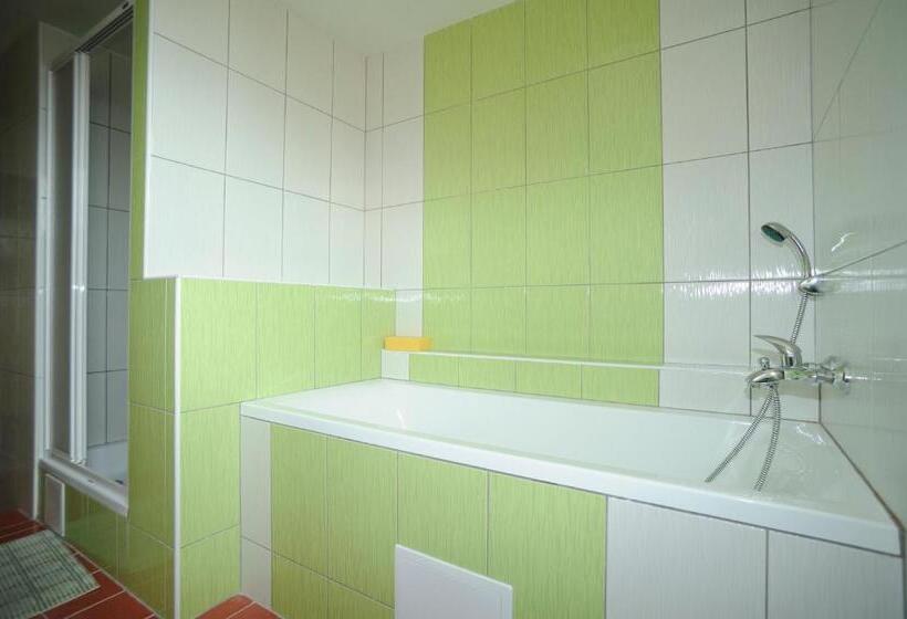 شقة غرفتين, City