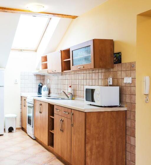 شقة غرفة واحدة, City