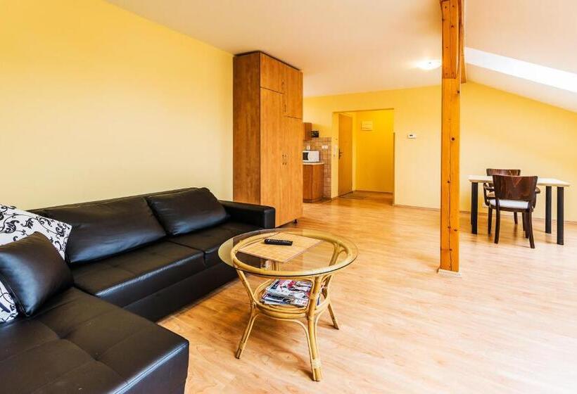 شقة غرفة واحدة, City