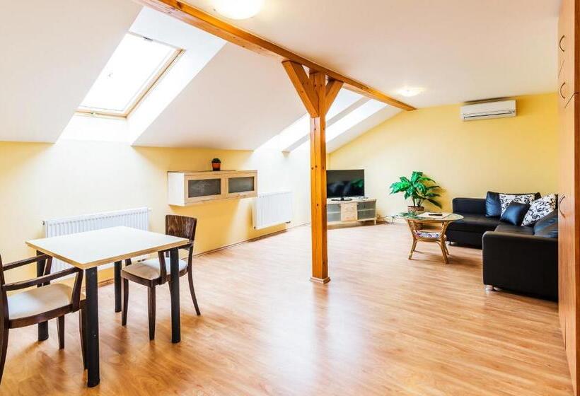 شقة غرفة واحدة, City