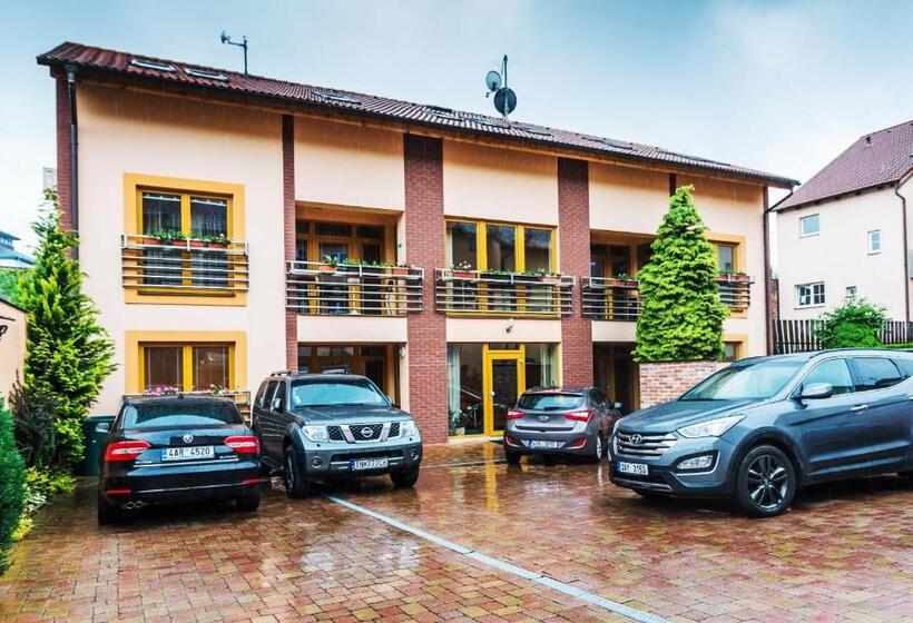 شقة غرفة واحدة, City