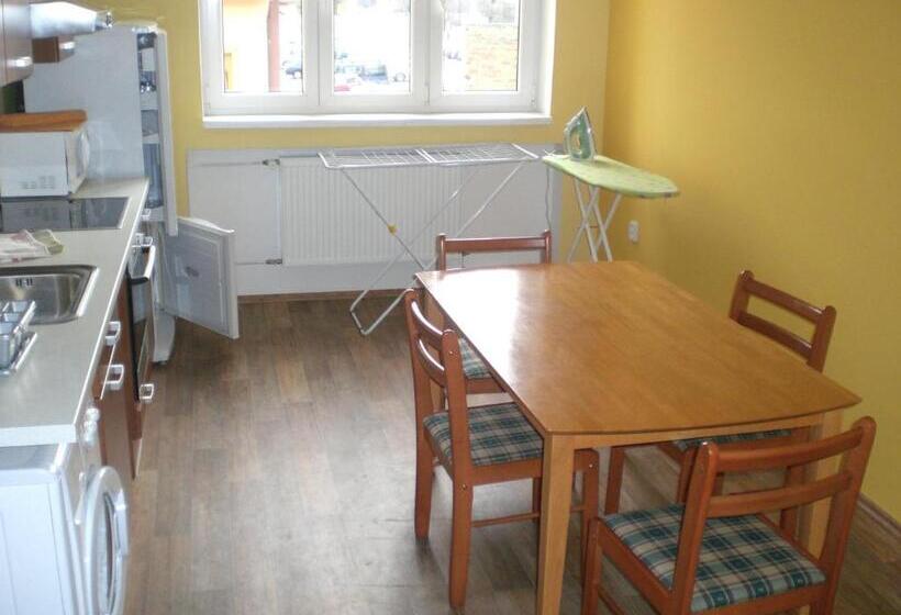 شقة غرفتين, City