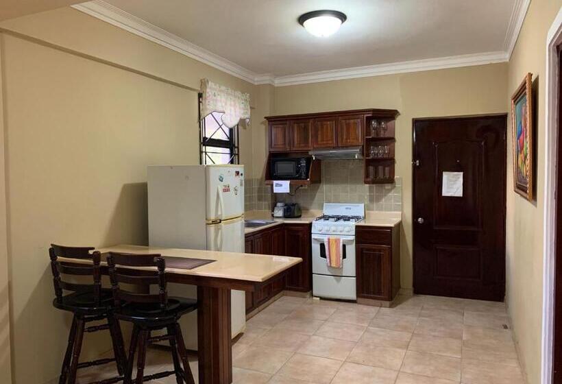 آپارتمان 1 خوابه, Apartahotel Alvear