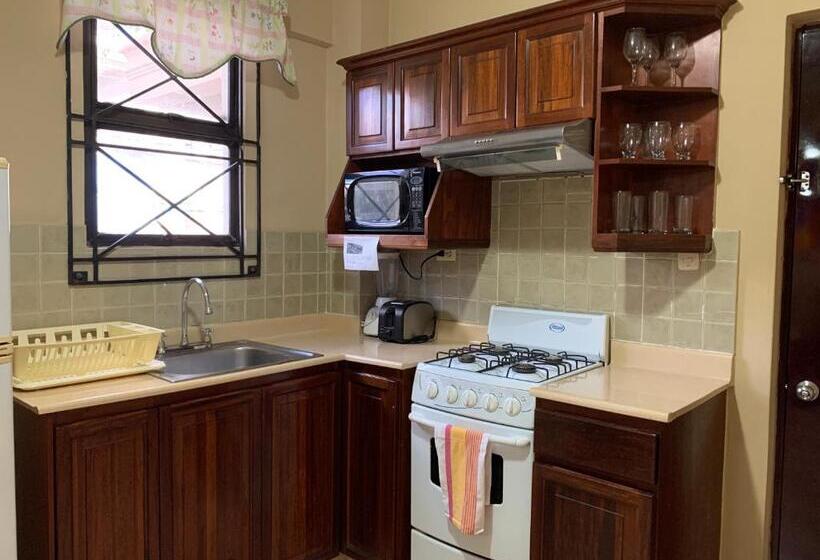 آپارتمان 1 خوابه, Apartahotel Alvear