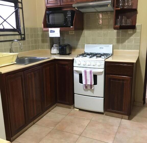 آپارتمان 1 خوابه, Apartahotel Alvear