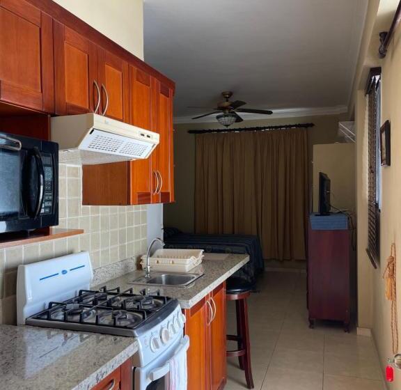 استودیو استاندارد با تراس, Apartahotel Alvear