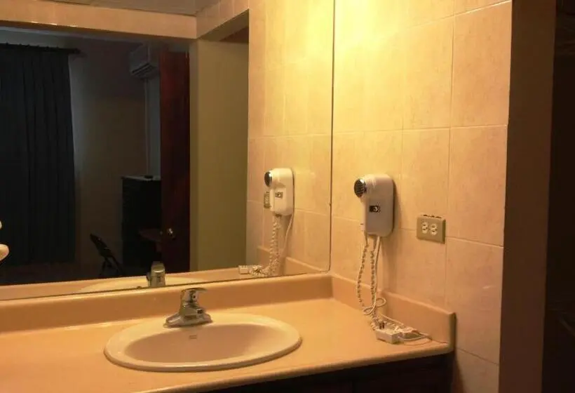 آپارتمان 1 خوابه با تراس, Apartahotel Alvear