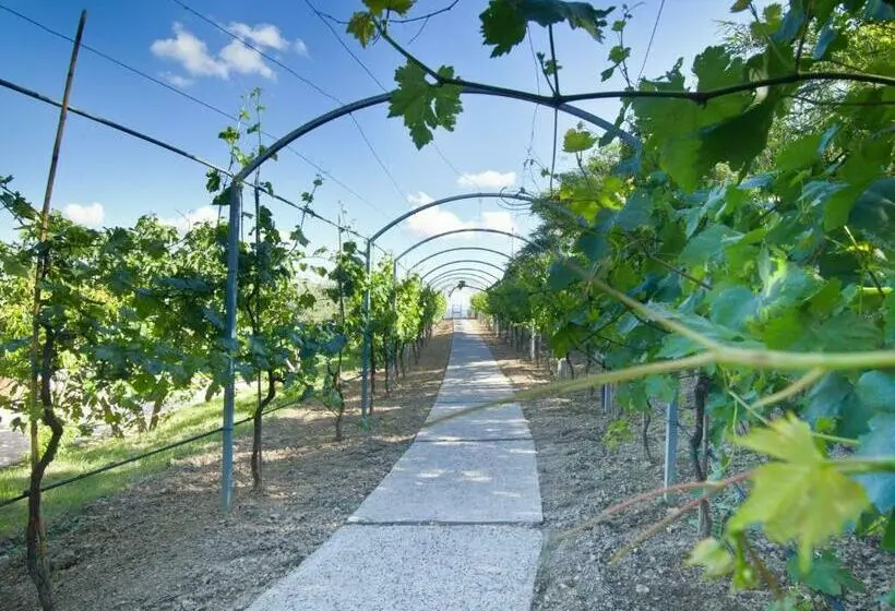 Huoneisto 2 Makuuhuonetta, Agriturismo Il Vecchio Mandorlo