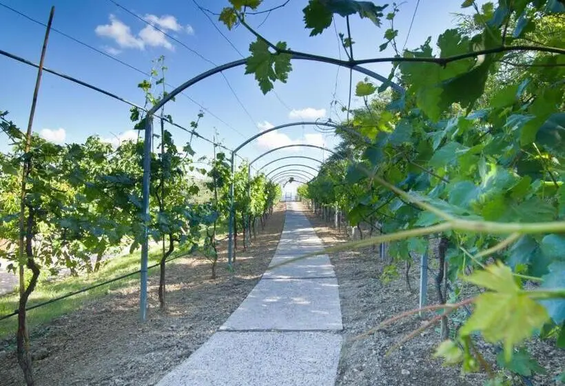 Superior-huoneisto 2 Makuuhuonetta, Agriturismo Il Vecchio Mandorlo