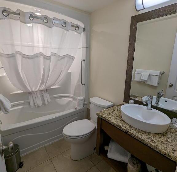 스탠다드 스튜디오, Inn At The Harbour