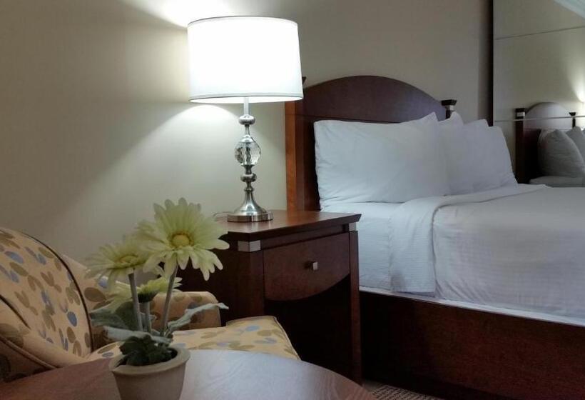 스탠다드 스튜디오, Inn At The Harbour