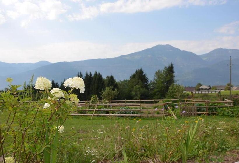 Номер Стандарт с Балконом, Naturgut Gailtal