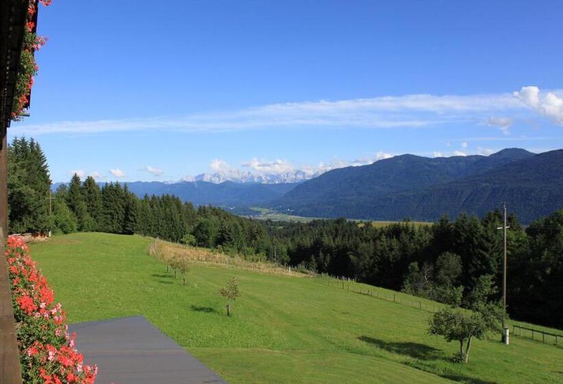 Номер Стандарт с Балконом, Naturgut Gailtal