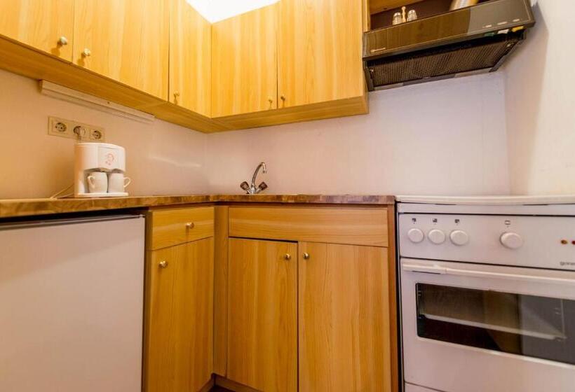 Апартаменты 1 Спальня, Naturgut Gailtal