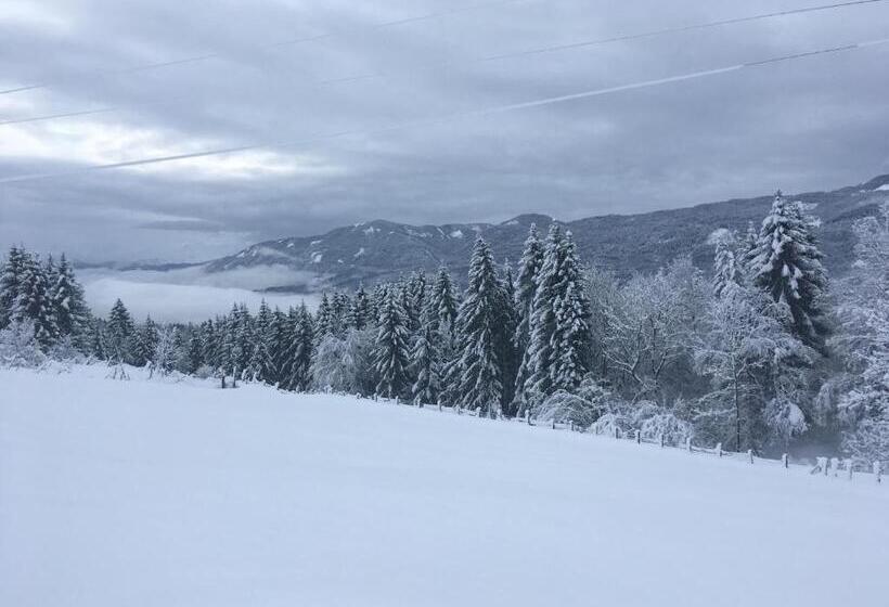 Апартаменты 2 Спальни с Балконом, Naturgut Gailtal