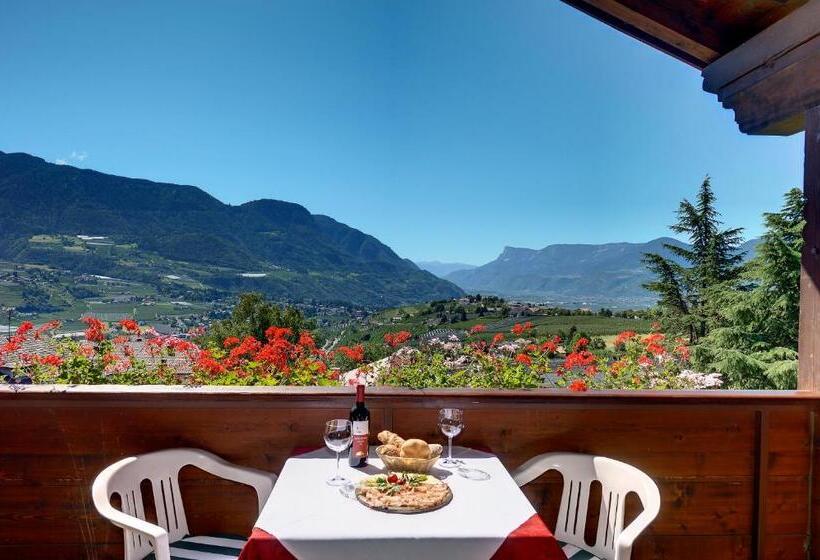 Апартаменты 1 Спальня с Балконом, Appartement Inge