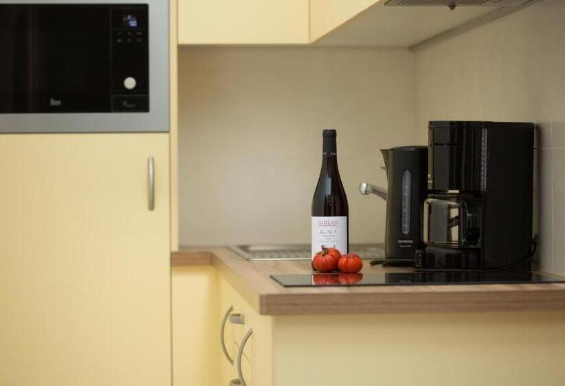 Апартаменты 1 Спальня с Балконом, Appartement Inge