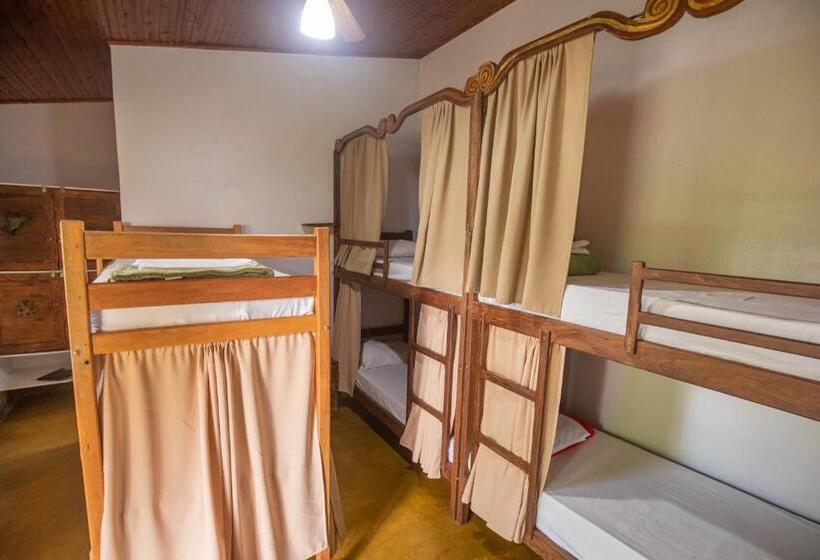 ルームシェアのワンベッド, Buddy's Hostel & Pousada Alto Paraiso