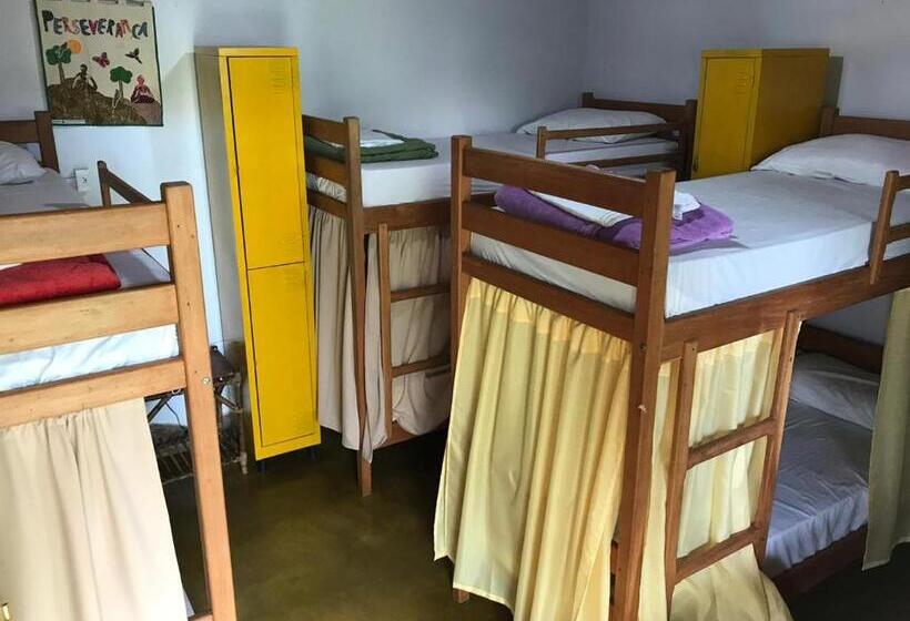 ルームシェアのワンベッド, Buddy's Hostel & Pousada Alto Paraiso