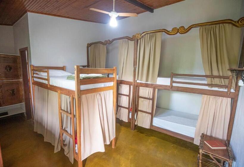 Кровать в Общей Комнате, Buddy's Hostel & Pousada Alto Paraiso