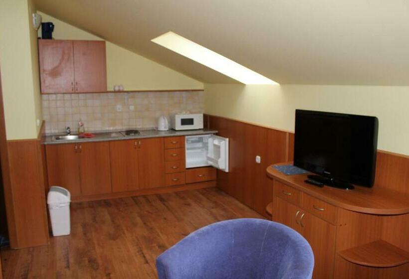 Апартаменты 1 Спальня, Penzion Eka