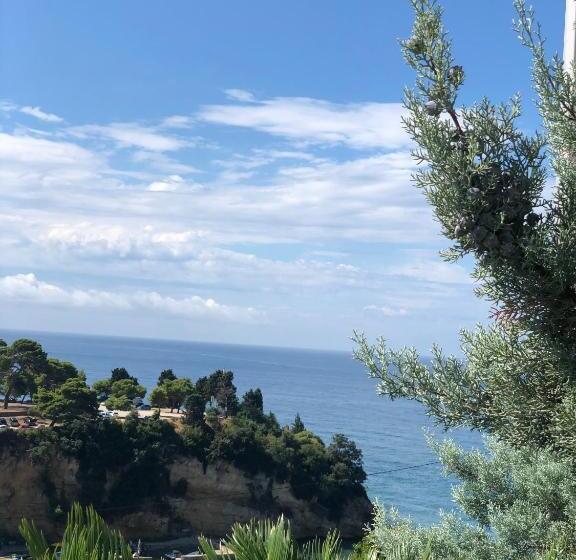 آپارتمان دوبلکس 1 خوابه, Senator