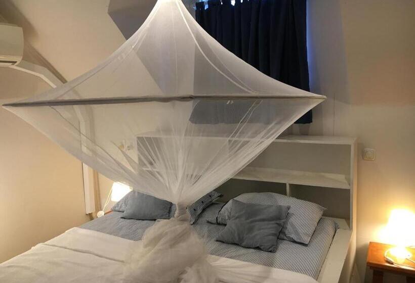 استودیوی سوپریور, Asteria Studios