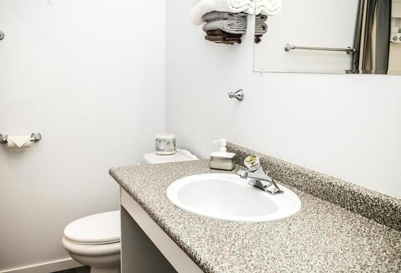 اتاق استاندارد با تخت دو نفره بزرگ, Crescent Motel