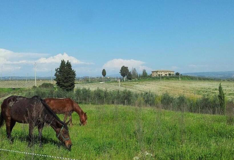 Huoneisto 2 Makuuhuonetta, Agriturismo Macinatico