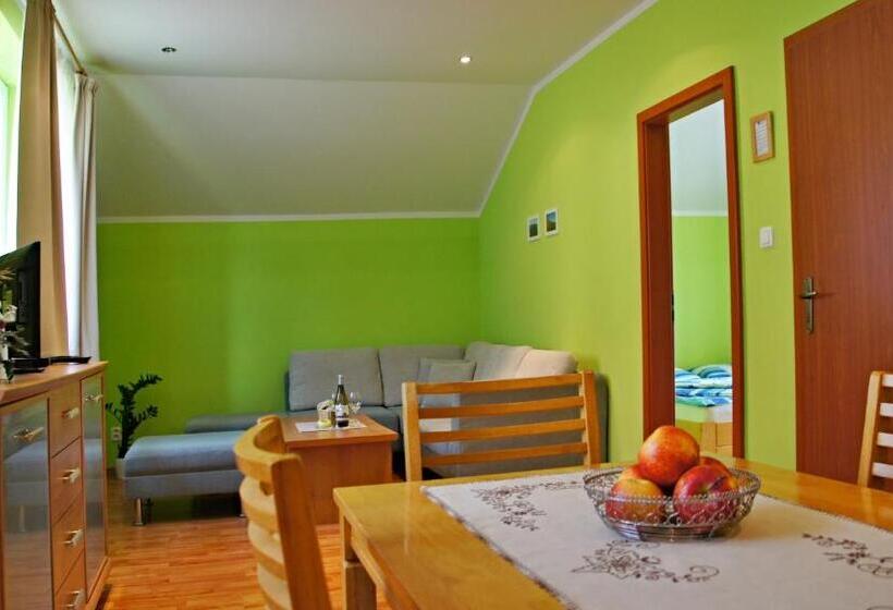 带1个卧室的公寓, Penzion V Strani